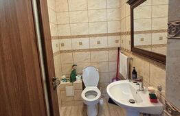Pensiune la cheie, 365 mp, constructie 2022 - Băiceni