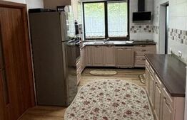 Pensiune la cheie, 365 mp, constructie 2022 - Băiceni