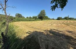 Casă bătrânească cu 2 fronturi stradale,  3095 mp teren, Flămânzi - Botoșani