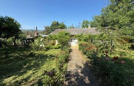 Casa de vânzare 2 camere Cristesti - 197092CV | BLITZ Botoșani | Poza2