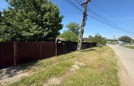 Casă bătrânească cu 2 fronturi stradale,  3095 mp teren, Flămânzi - Botoșani