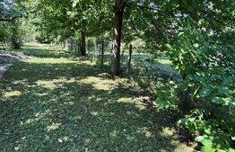 Casă bătrânească cu 2 fronturi stradale,  3095 mp teren, Flămânzi - Botoșani