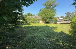Casă bătrânească cu 2 fronturi stradale,  3095 mp teren, Flămânzi - Botoșani