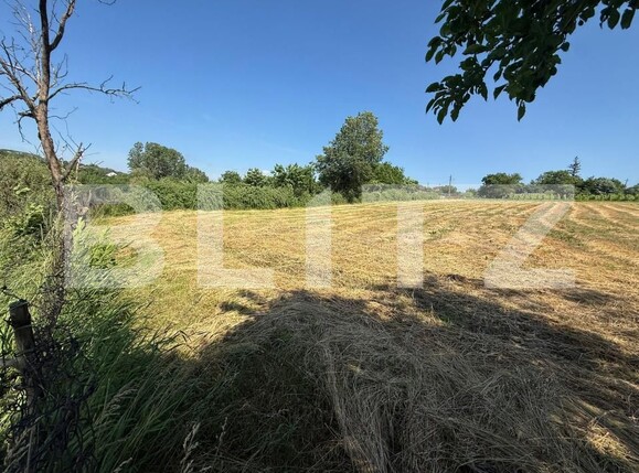 Casa de vânzare 3 camere Sud-Vest - 197029CV | BLITZ Botoșani | Poza6