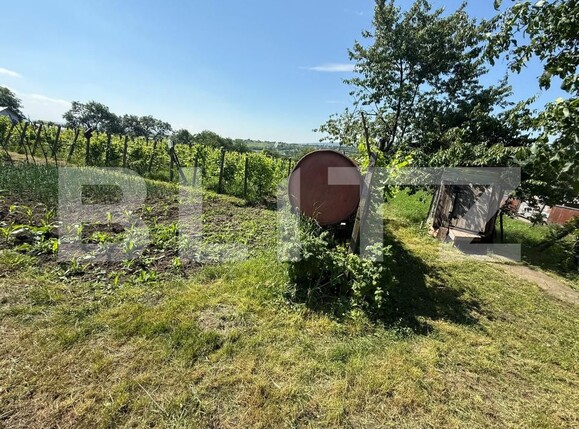 Casa de vânzare 3 camere Sud-Vest - 197029CV | BLITZ Botoșani | Poza4