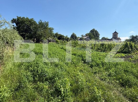 Casa de vânzare 3 camere Sud-Vest - 197029CV | BLITZ Botoșani | Poza5