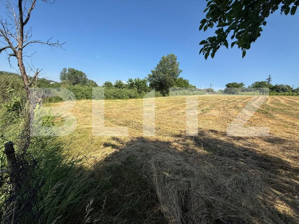 Casa de vânzare 3 camere Sud-Vest - 197029CV | BLITZ Botoșani | Poza6