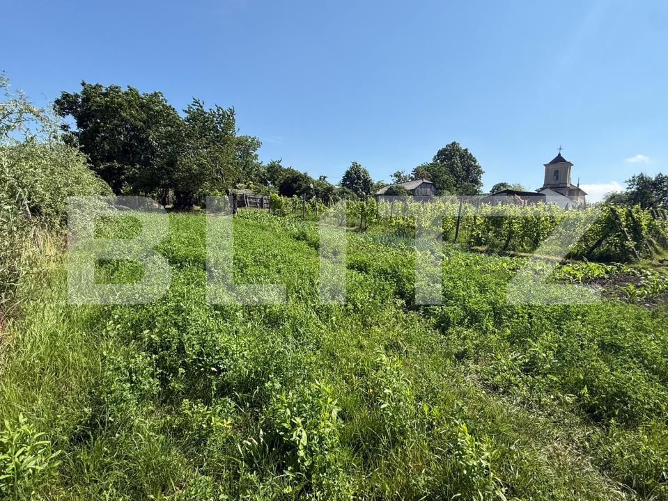 Casa de vânzare 3 camere Sud-Vest - 197029CV | BLITZ Botoșani | Poza5
