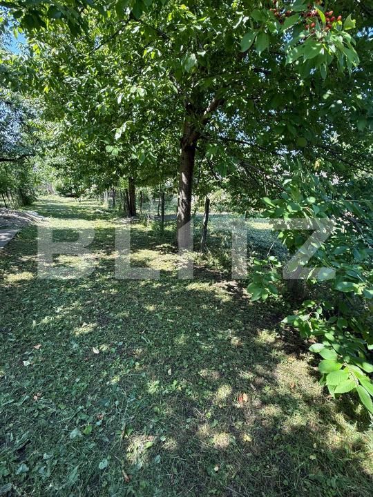 Casa de vânzare 3 camere Sud-Vest - 197029CV | BLITZ Botoșani | Poza7
