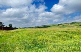 Teren intravilan 2.957 mp de vânzare – Ipotești, Comuna Mihai Eminescu