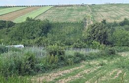 Teren intravilan, 1524mp, Mănăstirea Doamnei- Botoșani