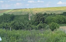 Teren intravilan, 1524mp, Mănăstirea Doamnei- Botoșani