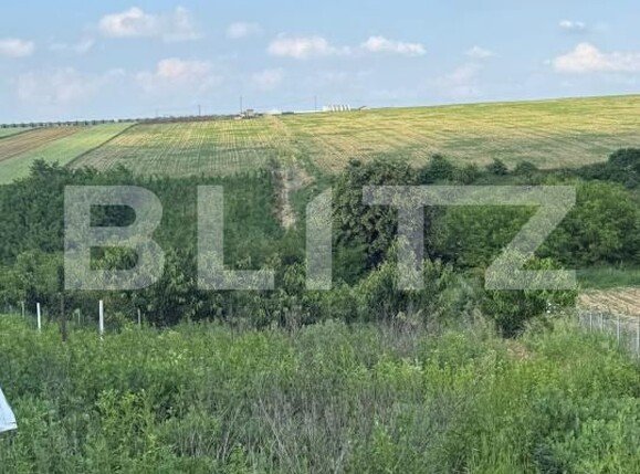 Teren de vânzare Sud-Est - 197097TV | BLITZ Botoșani | Poza3