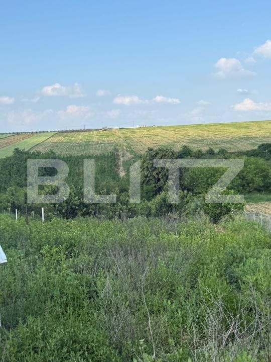 Teren de vânzare Sud-Est - 197097TV | BLITZ Botoșani | Poza3