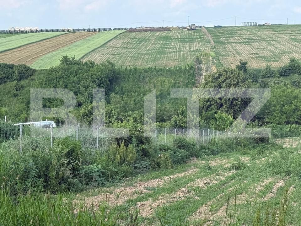 Teren de vânzare Sud-Est - 197097TV | BLITZ Botoșani | Poza2