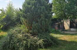 Casă individuală S+P+ET1+M 400 mp, teren 700 mp, Zona BUCOVINA- BOTOȘANI 
