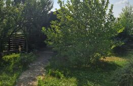 Casă individuală S+P+ET1+M 400 mp, teren 700 mp, Zona BUCOVINA- BOTOȘANI 