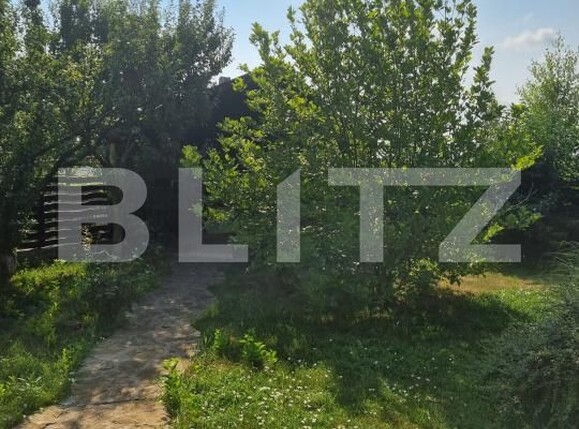 Casa de vânzare 5 camere Bucovina - 197145CV | BLITZ Botoșani | Poza23