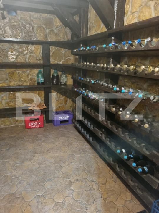 Casa de vânzare 5 camere Bucovina - 197145CV | BLITZ Botoșani | Poza14