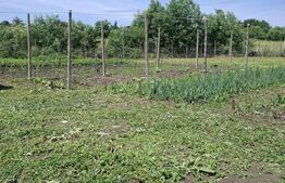 Teren intravilan 2943 mp, împrejmuit, cu iaz natural – Cătămărăști Deal