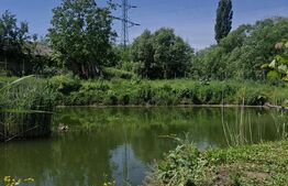 Teren intravilan 2943 mp, împrejmuit, cu iaz natural – Cătămărăști Deal