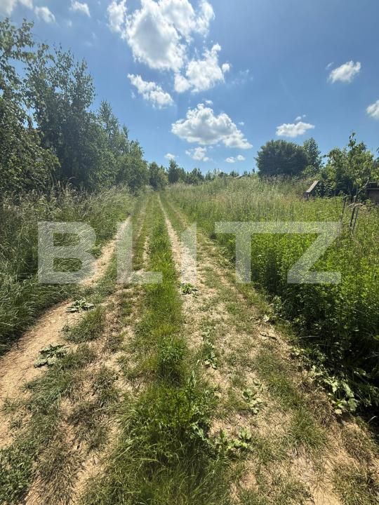 Casa de vânzare 3 camere Hudum - 197367CV | BLITZ Botoșani | Poza18