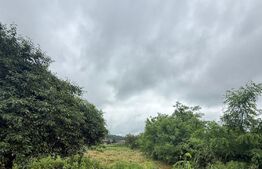 Teren intravilan de vanzare, 1256 mp, Cartier Tulbureni - Botoșani 