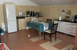 Oportunitate de investiție-spațiu comercial, 420 mp, zona Restaurant Tex 