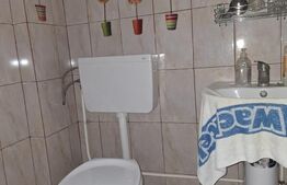 Spațiu de 29 mp cu baie proprie –  zona Romarta