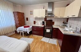 Apartament 2 camere - Etaj 3/3,  Pod - Zonă centrală, Trușești