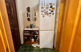 Apartament 2 camere - Etaj 3/3,  Pod - Zonă centrală, Trușești
