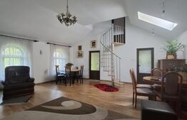 Spațiu comercial P+1, 240 mp – Bulevardul Mihai Eminescu