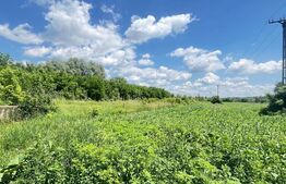 Teren 9.300 mp pentru investiție, Dorohoi, lângă viitoarea șosea de centură