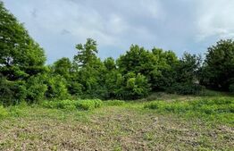 Teren intravilan, 1000 mp, Com.  Roma - Botoșani 