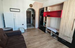 Apartament 1 camera, 23.41 mp, zona Parcul Tineretului 