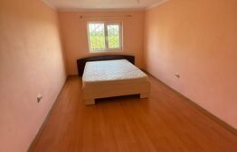 Casă individuală, 235.71 mp, teren 9600 mp- 1001 mp intravilan, Oraș BUCECEA 