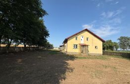 Casă individuală, 235.71 mp, teren 9600 mp- 1001 mp intravilan, Oraș BUCECEA 