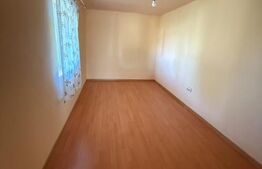 Casă individuală, 235.71 mp, teren 9600 mp- 1001 mp intravilan, Oraș BUCECEA 