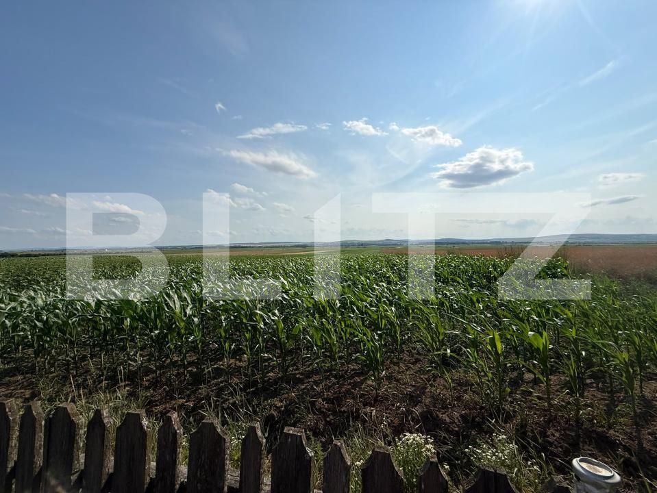 Casa de vânzare 4 camere Bucecea - 199917CV | BLITZ Botoșani | Poza11