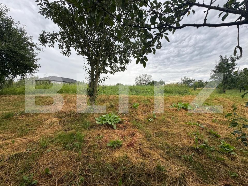 Casa de vânzare 3 camere Zaicesti - 200181CV | BLITZ Botoșani | Poza3