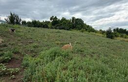 Teren intravilan, Dorohoi, 1532 mp, in apropiere de Gradina de Vara