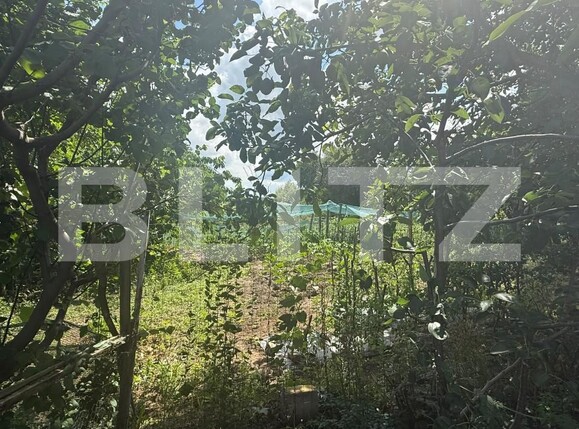 Casa de vânzare 2 camere Schit-Oraseni - 200442CV | BLITZ Botoșani | Poza2