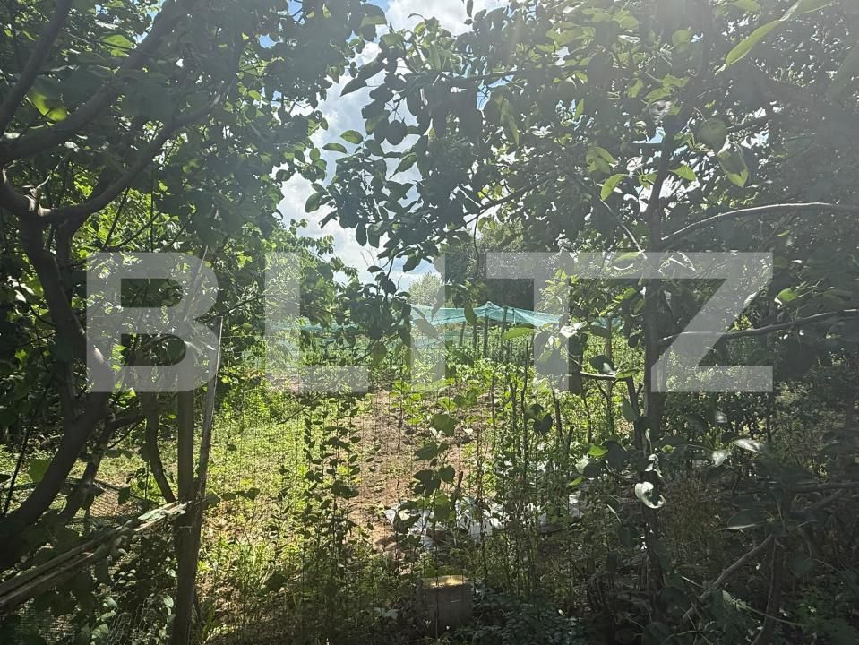 Casa de vânzare 2 camere Schit-Oraseni - 200442CV | BLITZ Botoșani | Poza2