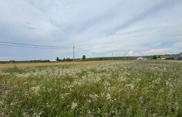 Loturi teren, 700 mp, Rachiti, Botosani