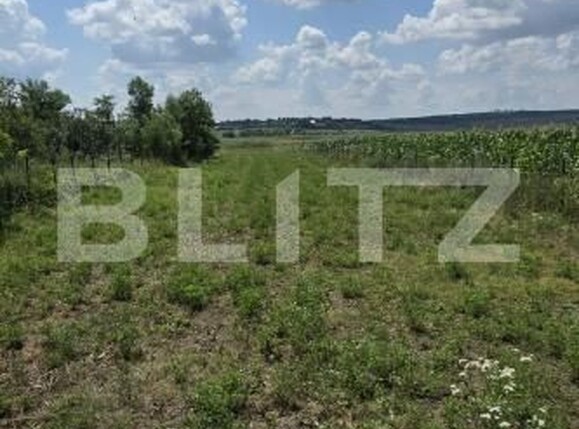 Teren de vânzare Balusenii Noi - 200680TV | BLITZ Botoșani | Poza1