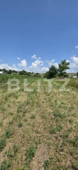 Teren de vânzare Balusenii Noi - 200680TV | BLITZ Botoșani | Poza3