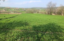 Teren intravilan, 3891 mp, la drum asfaltat, zona Bucecea 