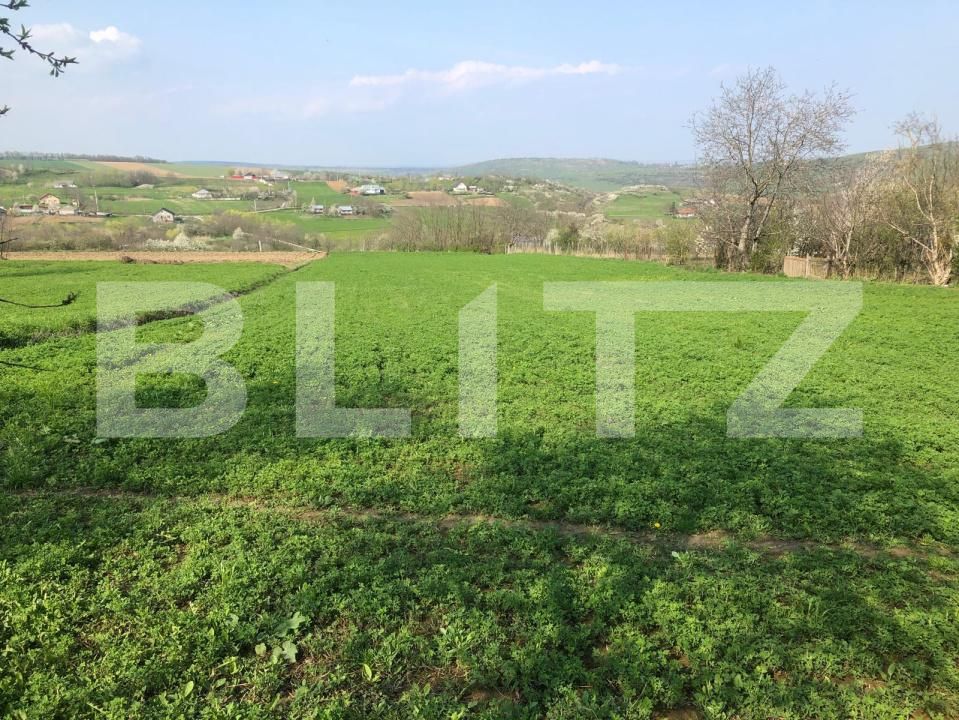 Teren de vânzare Bucecea - 200786TV | BLITZ Botoșani | Poza2