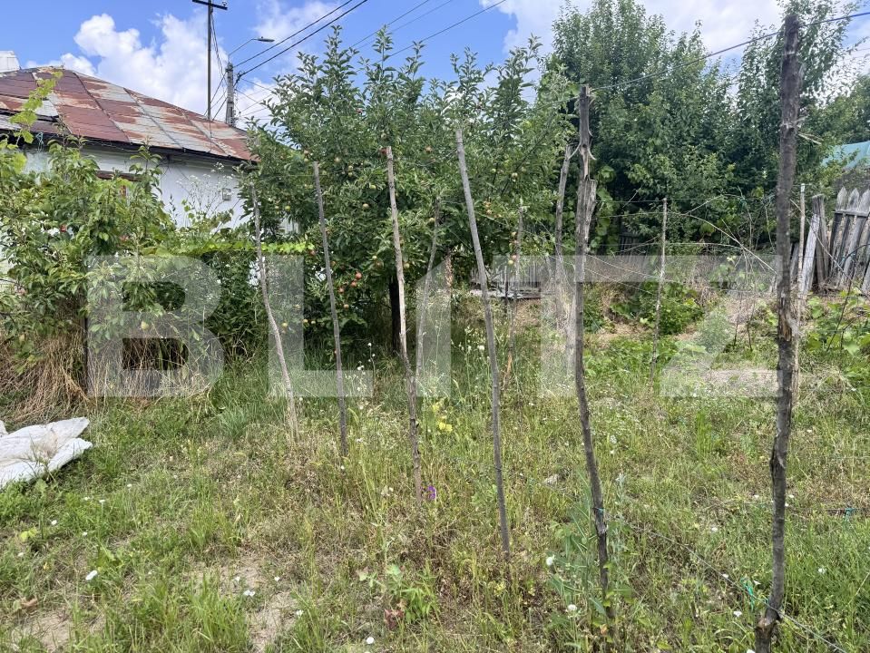 Casa de vânzare 1 camera Bucovina - 200904CV | BLITZ Botoșani | Poza3