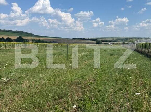 Teren de vânzare Zaicesti - 200908TV | BLITZ Botoșani | Poza2